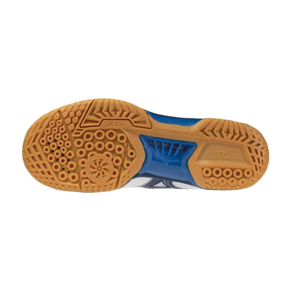 Giày cầu lông Mizuno Wave Fang Pro - Trắng xanh chính hãng (71GA210062)
